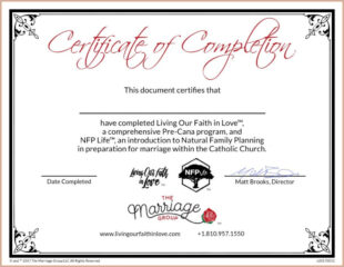 Anger Management Certificate Of Completion Template Word