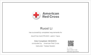 Blank First Aid Training Certificate Template Doc