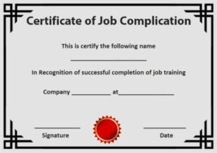 Blank On The Job Training Certificate Template Pdf