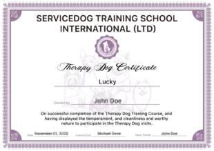 Custom Dog Training Graduation Certificate Template Sample