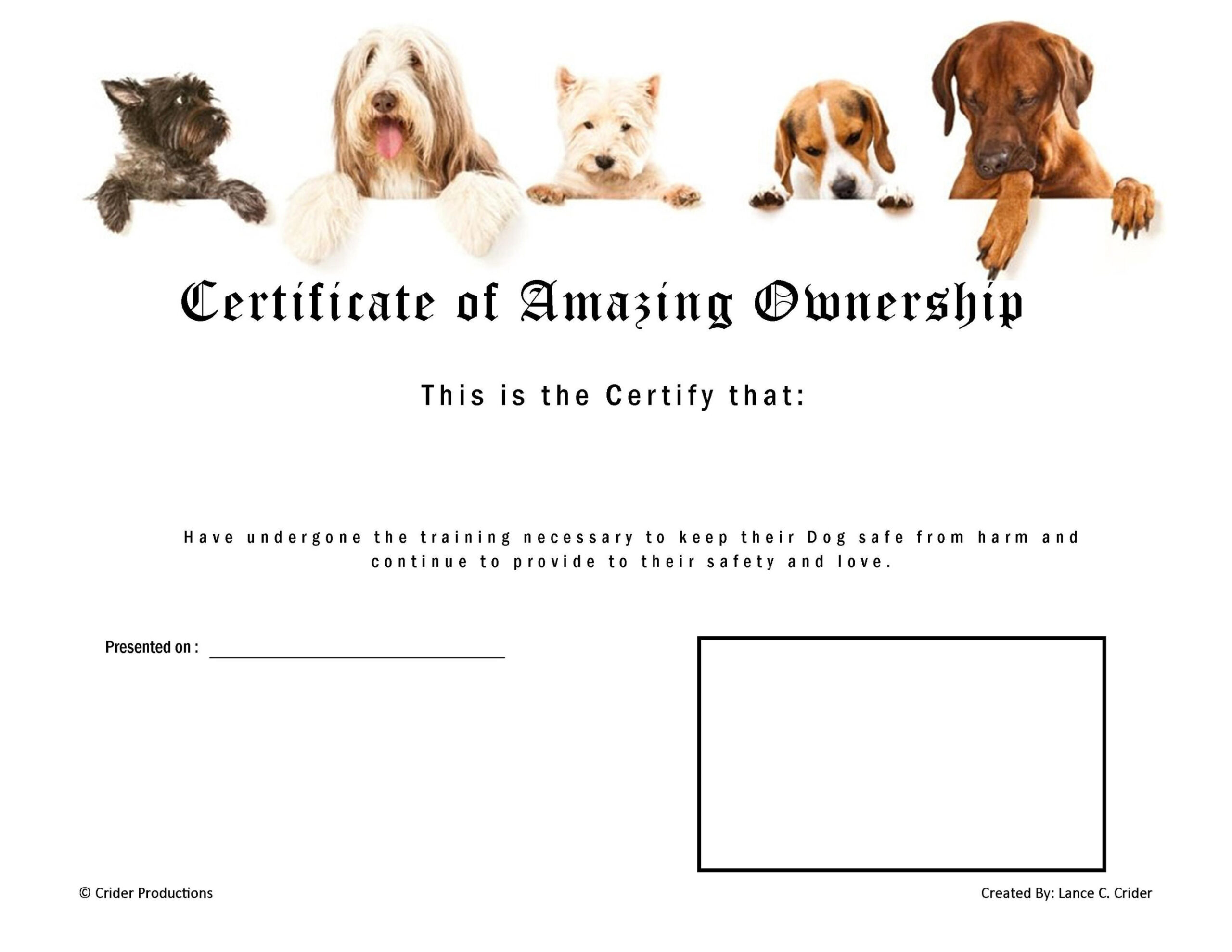 Dog Obedience Training Certificate Template Pdf