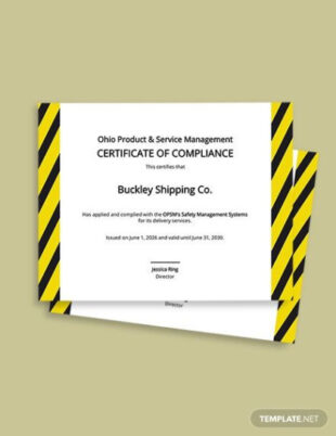 Editable Data Management Certificate Template Doc