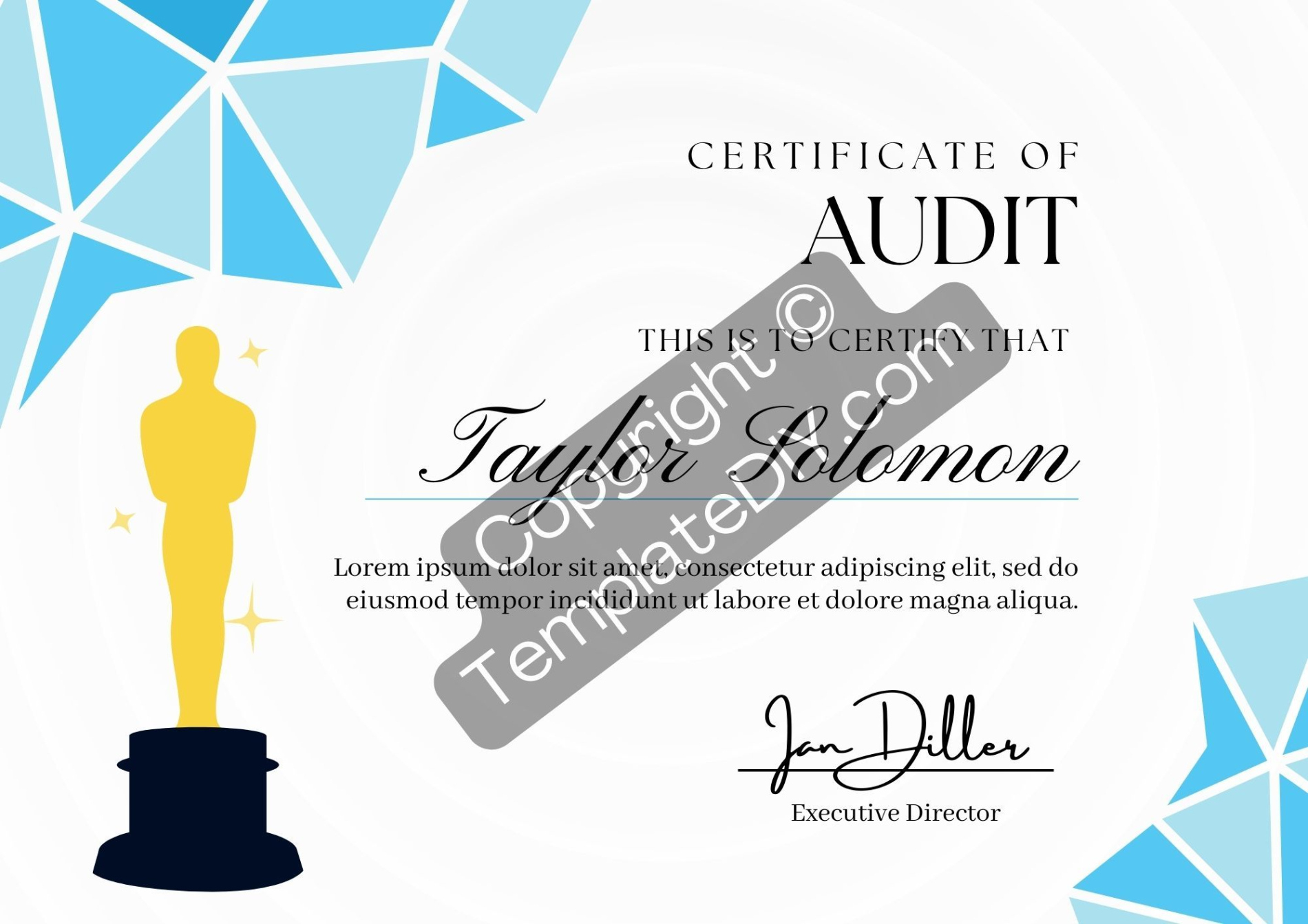 Free Custom Audit Training Certificate Template Sample