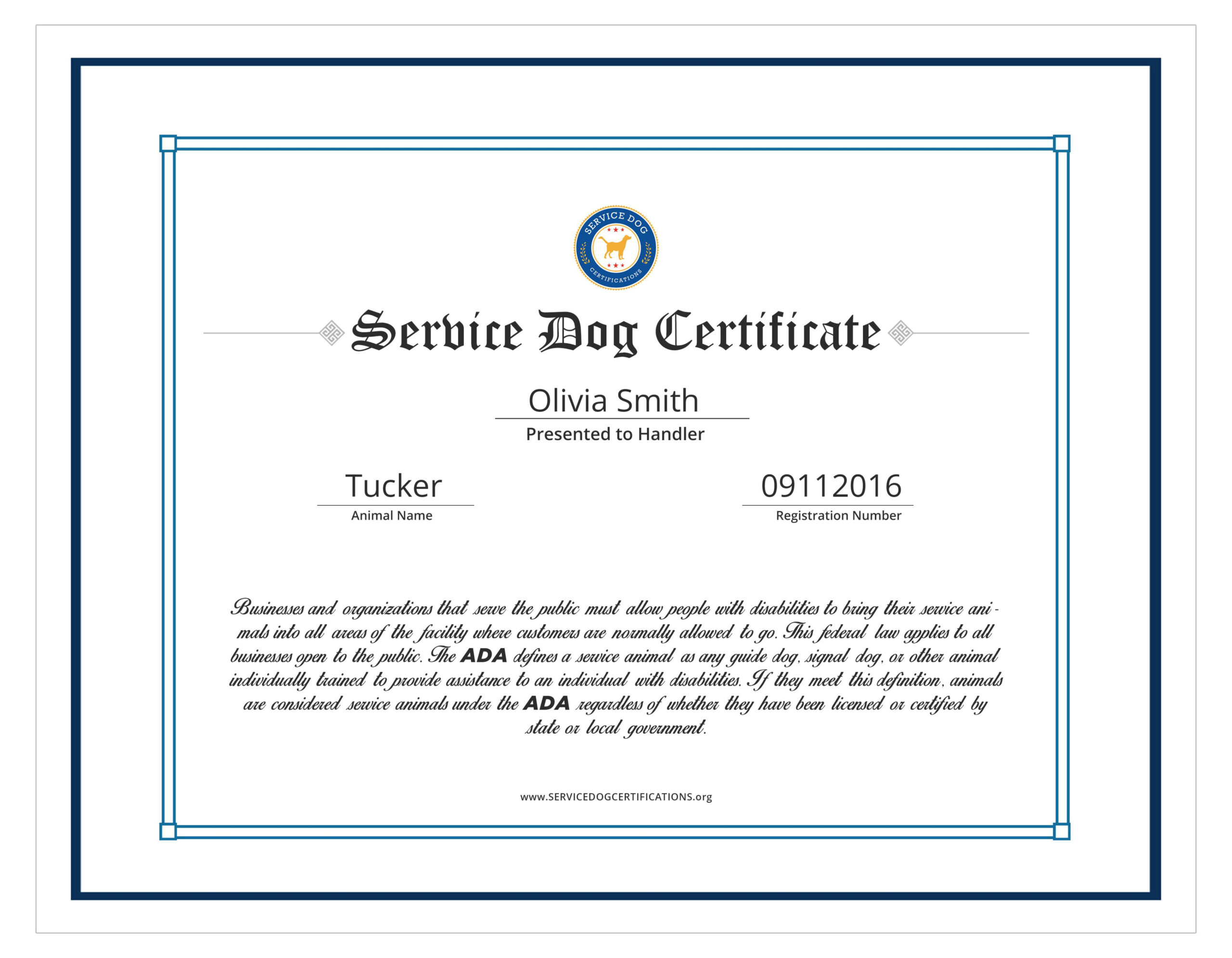 Free Custom Dog Training Graduation Certificate Template Doc