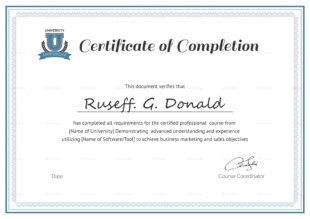 Free Custom Insurance Certificate Of Completion Template Sample