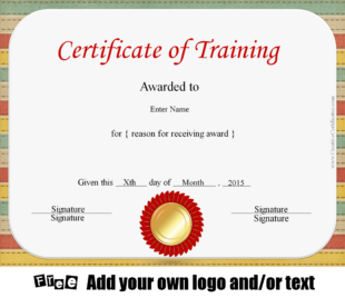 Free Editable Security Training Certificate Template Word