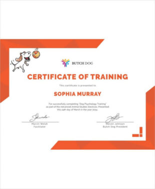 Printable Dog Training Graduation Certificate Template Doc