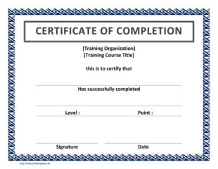 Software Training Certificate Template Sample