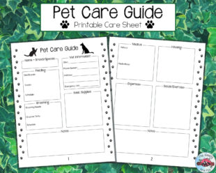 free custom pet care instructions template excel example