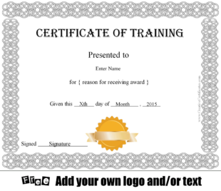 Blank Customer Service Training Certificate Template Sample