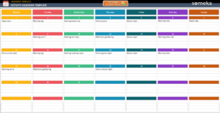 Blank Guideline Program Work Activity Schedule Template  Sample