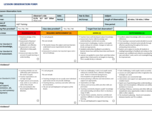 Blank Primary School Lesson Observation Template  Sample