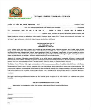 custom customs clearance instructions template  sample