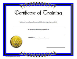 Customer Service Training Certificate Template