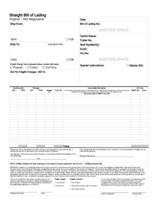 free  bill of lading instructions template  sample