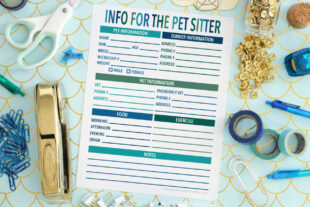 free  cat sitting instructions template excel