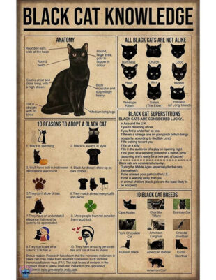 free custom cat care instructions template doc sample