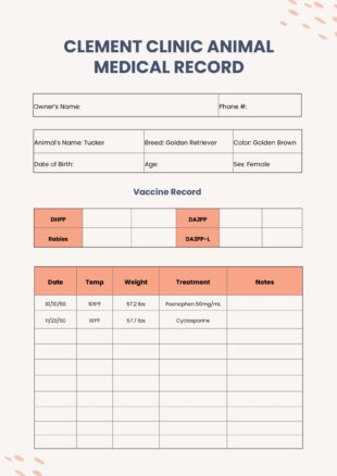 free custom veterinary surgery discharge instructions template doc