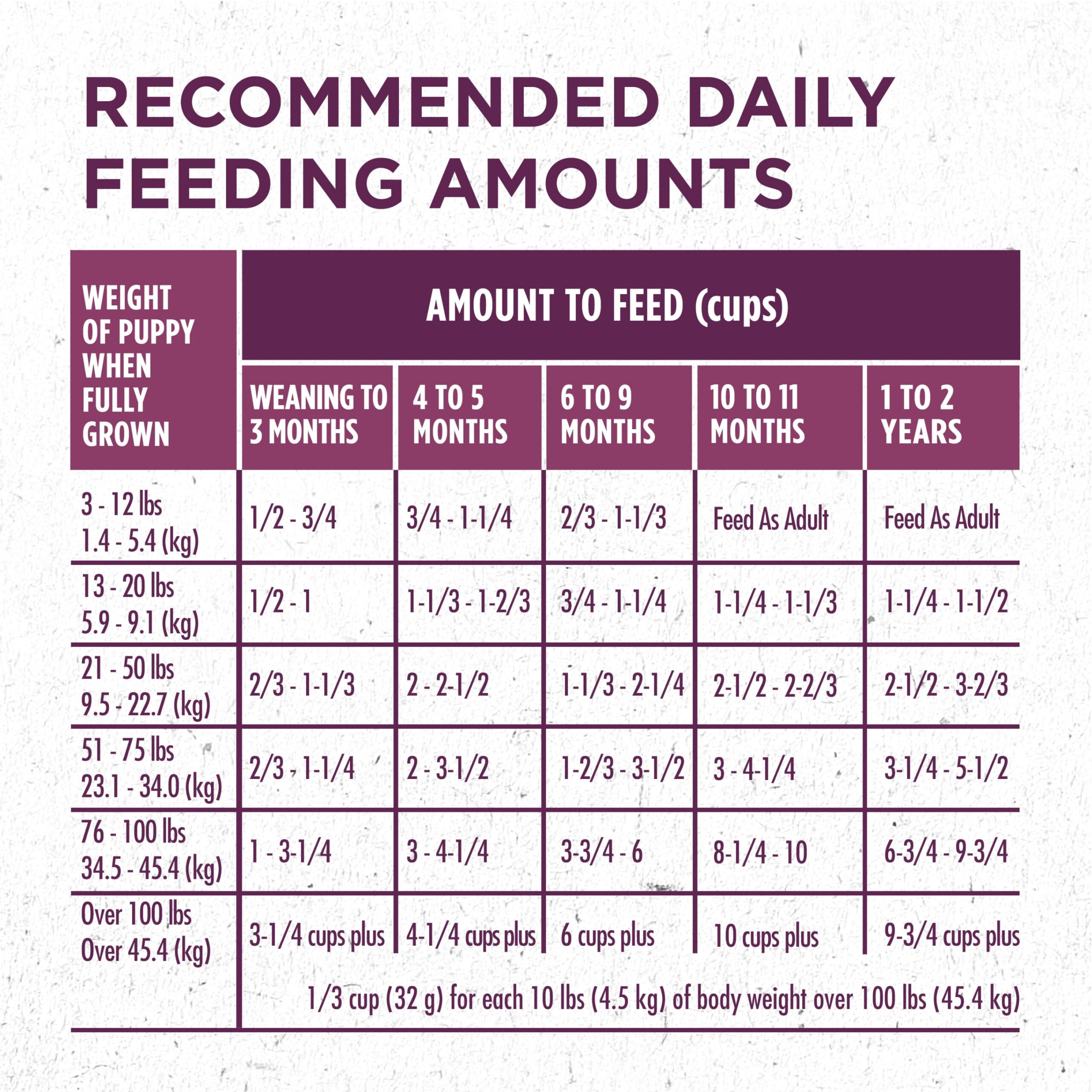 free editable dog feeding instructions template doc