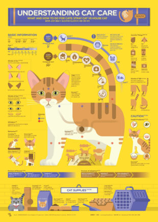 free printable cat care instructions template excel example