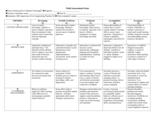 Free Sample Primary School Lesson Observation Template Doc