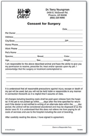 free  veterinary dental discharge instructions template  example