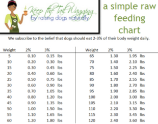 printable dog feeding instructions template excel sample