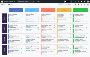 Sample Roadmap Program Work Activity Schedule Template Pdf Example