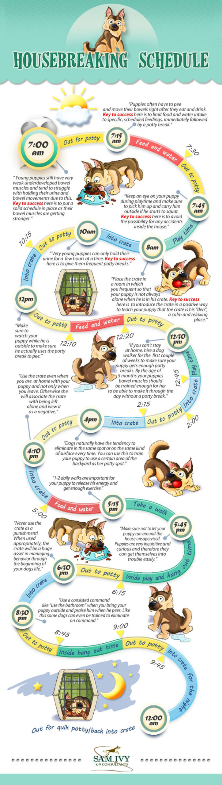 Blank Puppy Potty Training Schedule Template Pdf Example