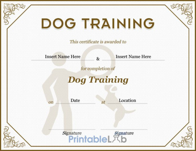 Dog Training Graduation Certificate Template Pdf