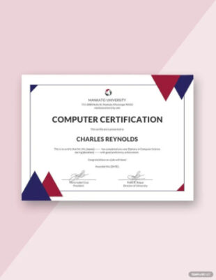 Free Blank Computer Training Certificate Template Word