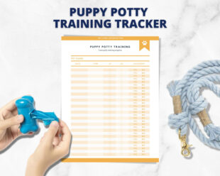 Free Blank Puppy Potty Training Schedule Template Pdf