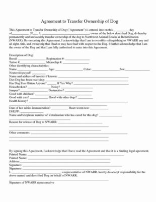 Free Custom Transfer Of Ownership Contract Template Doc Sample