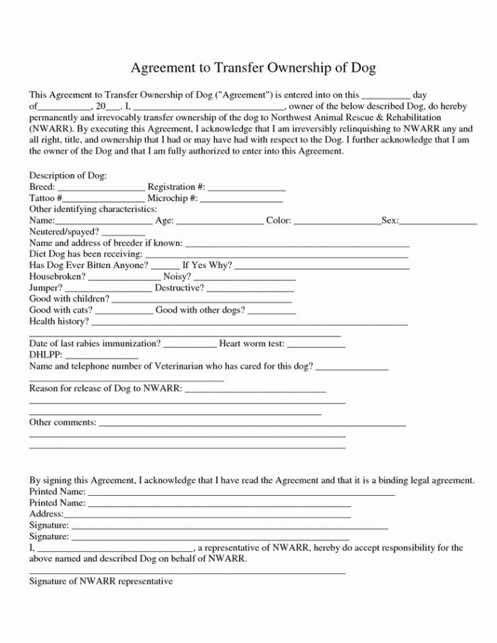 Free Custom Transfer Of Ownership Contract Template Doc Sample