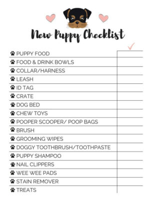 Free Editable Puppy Potty Training Schedule Template Doc