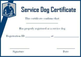 Free Printable Dog Training Graduation Certificate Template Doc