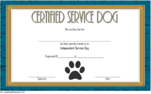 Free Printable Dog Training Graduation Certificate Template Word