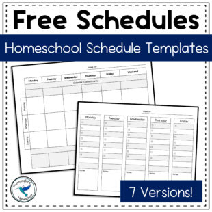 Blank Homeschool Daily Schedule Template Word Sample