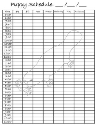 Blank Puppy Potty Training Schedule Template Pdf Sample