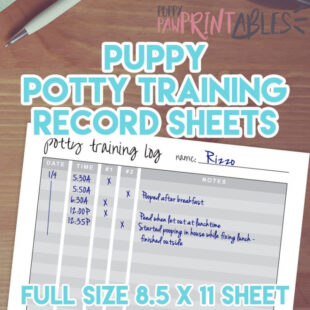 Free Printable Puppy Potty Training Schedule Template Word