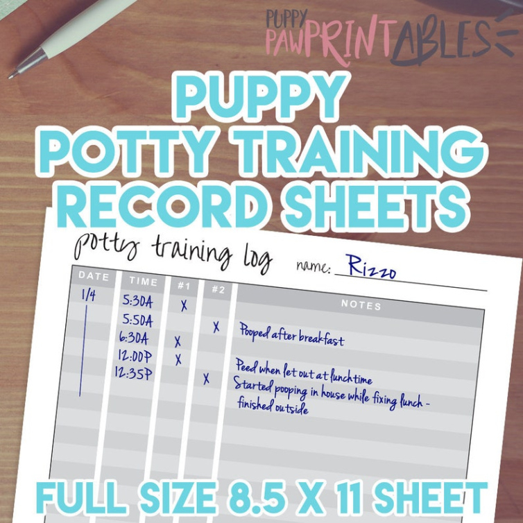 Free Printable Puppy Potty Training Schedule Template Word