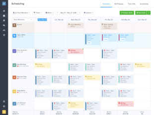 Free Sample Roadmap Program Work Activity Schedule Template Word