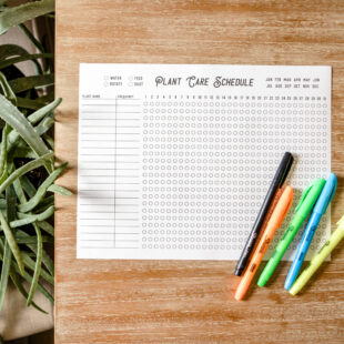 Printable Indoor Plant Watering Schedule Template Excel