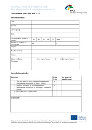 Sample Teaching Assistant Lesson Observation Template  Example